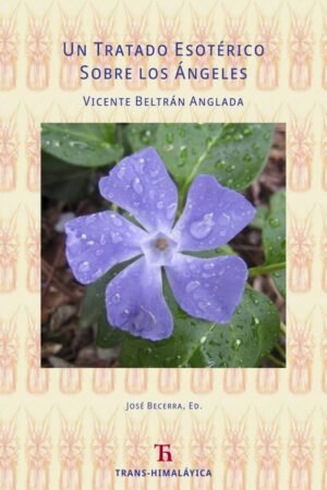 Un Tratado Esotérico Sobre los Ángeles