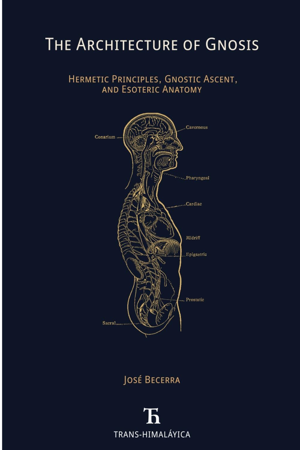 The Architecture of Gnosis: Hermetic Principles, Gnostic Ascent, and Esoteric Anatomy